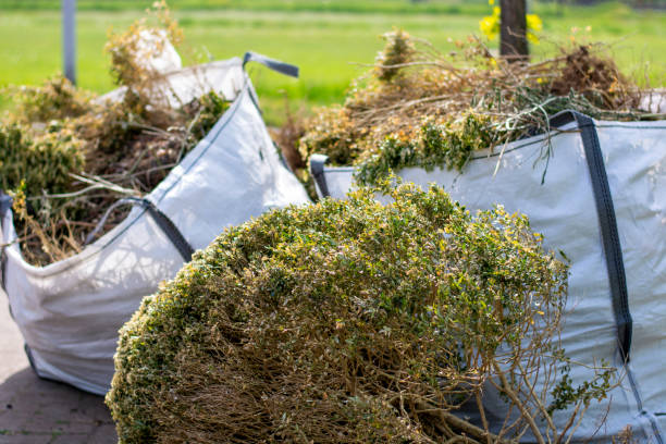 Best Attic Cleanout Services  in Lodi, NJ